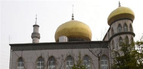 苏州太仓区哪里有英语口语白天班