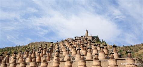 吴中区cma考试培训