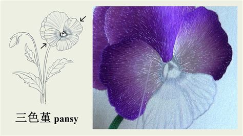 苏州出纳实务操作视频教程