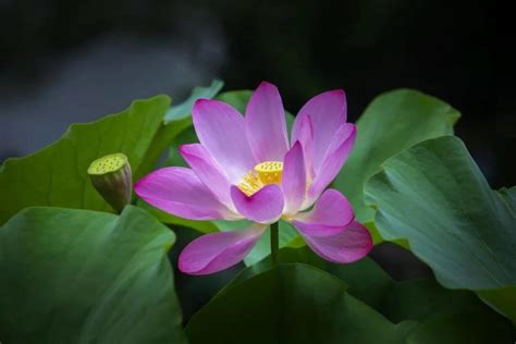 【苏州花艺进修班哪家好】
