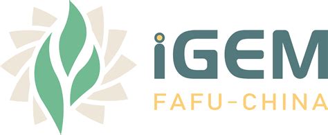 南京托福VIP精品课程-偏锋国际教育