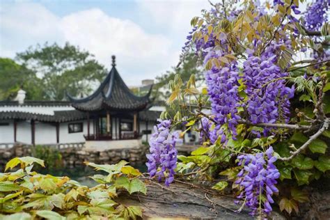【苏州花艺专业培训哪个好】