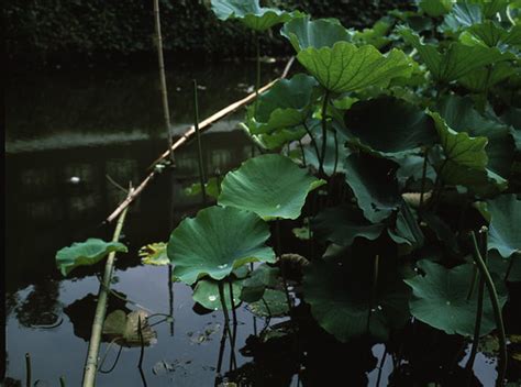 沧浪区MBA有哪些