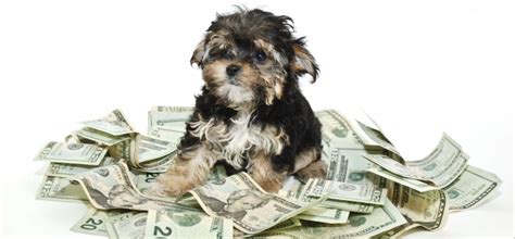 沧浪区MBA培训班费用为多少