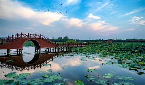 【苏州c语言在线课程】