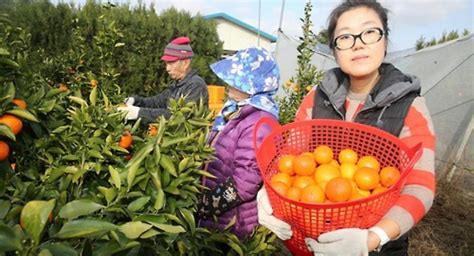 吴江日语辅导中心