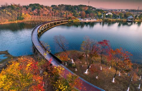 张家港公共营养师课程