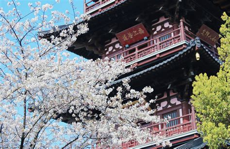 【苏州花艺技术培训多少钱】