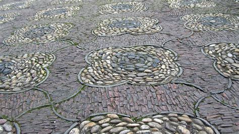 【苏州插花基础培训哪个好】