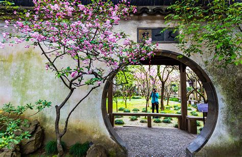 苏州学插花基础价格