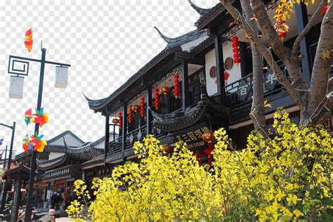 姑苏区如何选择意大利语培训机构