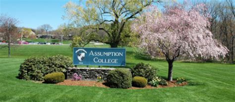 沧浪区大专会计电算化课程