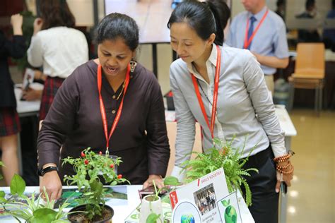 苏州国际同步辅导班