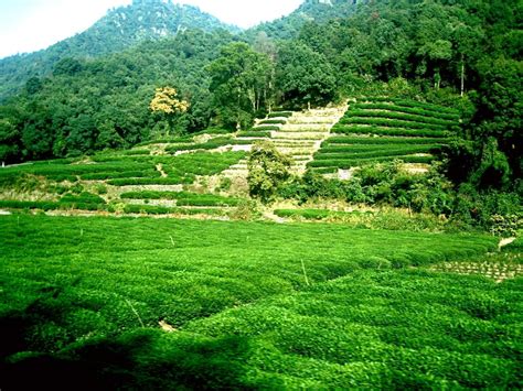 苏州哪里学奶茶