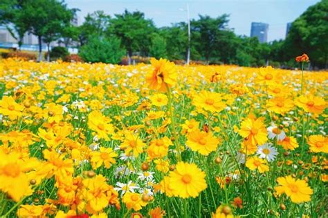 无锡夏令营培训机构