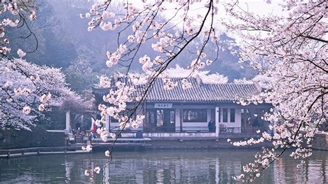 无锡美容培训哪个好