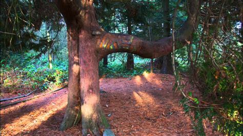 无锡比较有名的儿童注意力培训