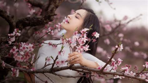 无锡古筝培训班费用多少