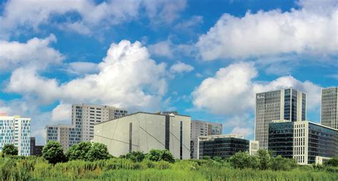 无锡新吴区古筝学习班哪里好