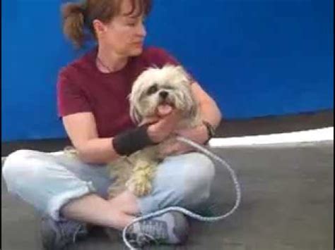 常熟人力资源培训班