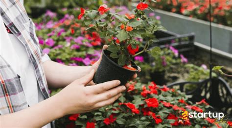 【苏州学花艺基础多少钱】