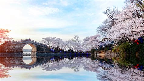 无锡职称英语培训辅导班