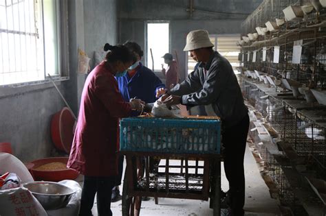 温州平阳哪个会计培训班比较好