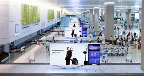 乐清虹桥春华高级平面（广告）设计师专业培训班哪个好