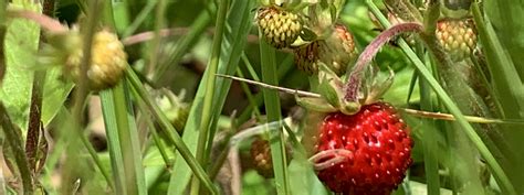 乐清虹桥春华CAD机械制图培训入门周末班