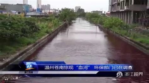 20温州苍南会计从业资格培训