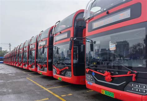 20温州雁荡淘宝运营推广培训