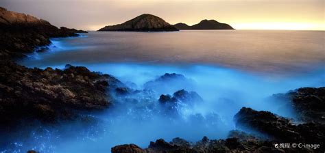 温州平阳春华培训淘宝美工培训