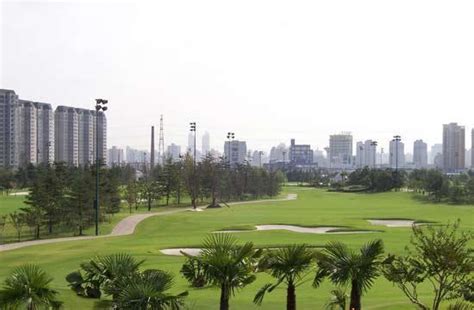 虹桥哪个Illustra培训班比较好