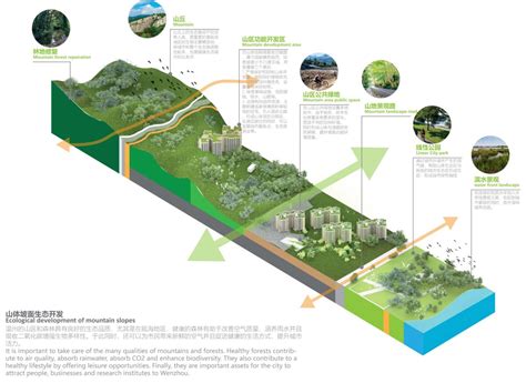温州瓯海春华FLASH动画培训学习