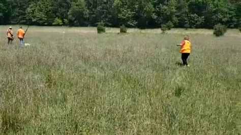 瑞安哪里学出纳培训？