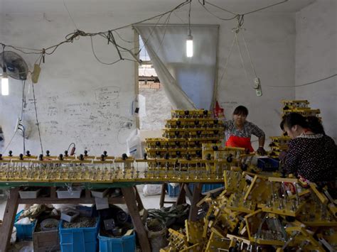 柳市哪个Coreldra培训班比较好