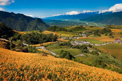 柳市春华Ps培训学习