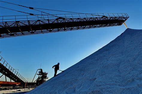 柳市春华高级平面（广告）培训学习