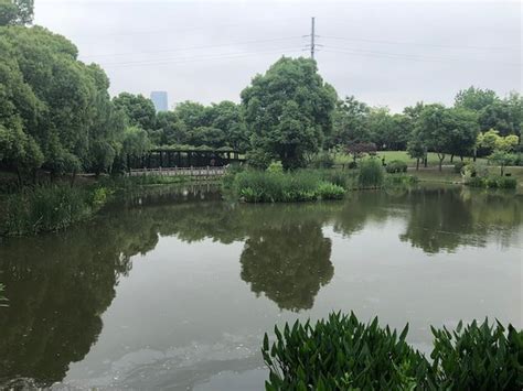 无锡粤语暑假班