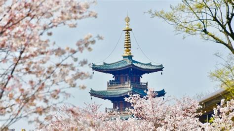 无锡西班牙语培训