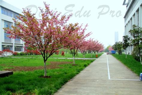 无锡网络技术提高培训