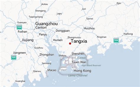 塘下春华电脑培训学习