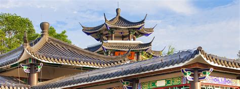 温州新城哪个Illustra培训班好