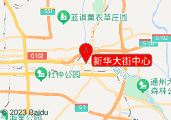 新华大街中心