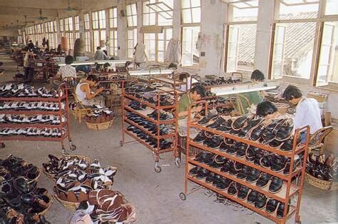 20温州新城办公自动化培训