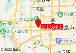 公主坟中心