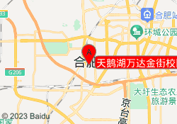 天鹅湖万达金街校区