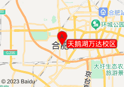 天鹅湖万达校区