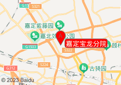嘉定宝龙分院