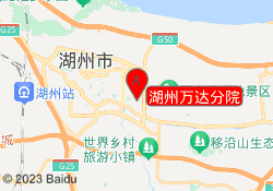 湖州万达分院